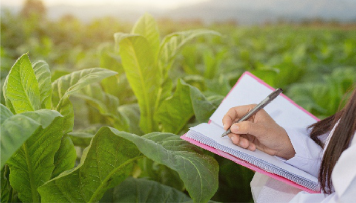 Curso De Conceptos Generales De Buenas Prácticas Agrícolas Y Programas De Certificación De Procesos